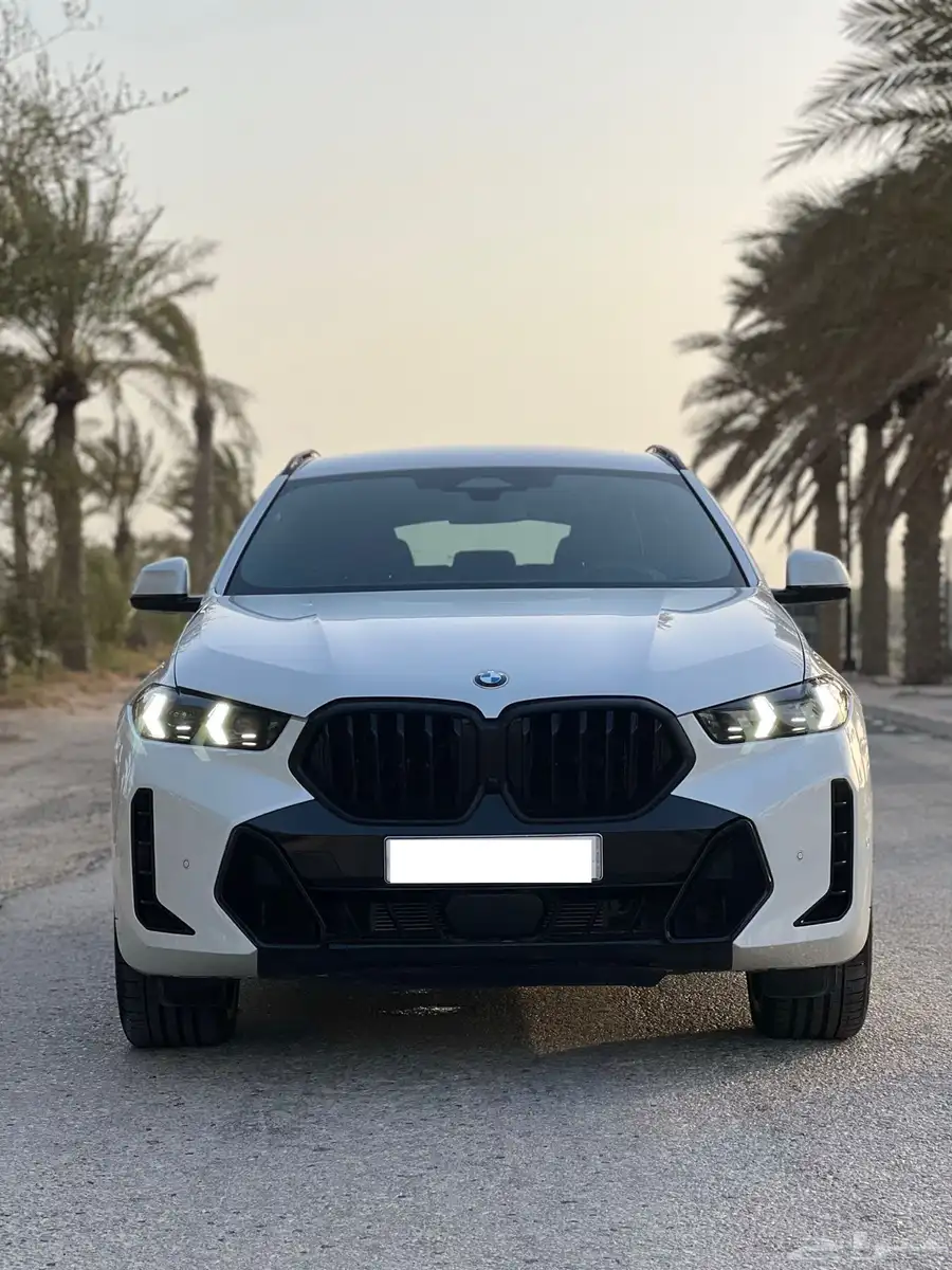 BMWX6 0