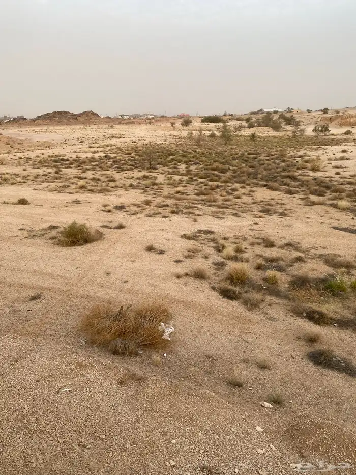 للبيع أرض زراعية مزرعة في الحصاد وادي بن هشبل 4