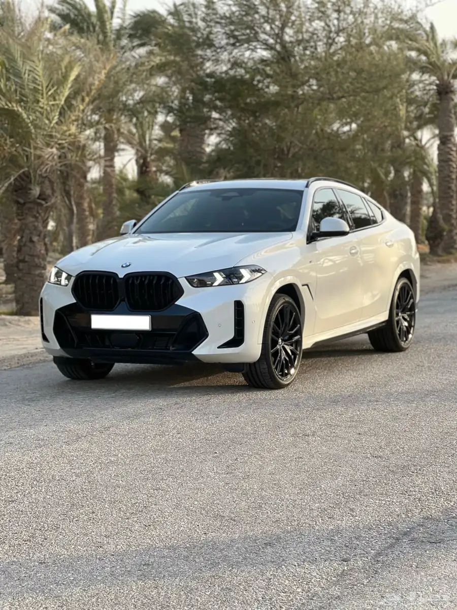 BMWX6 5
