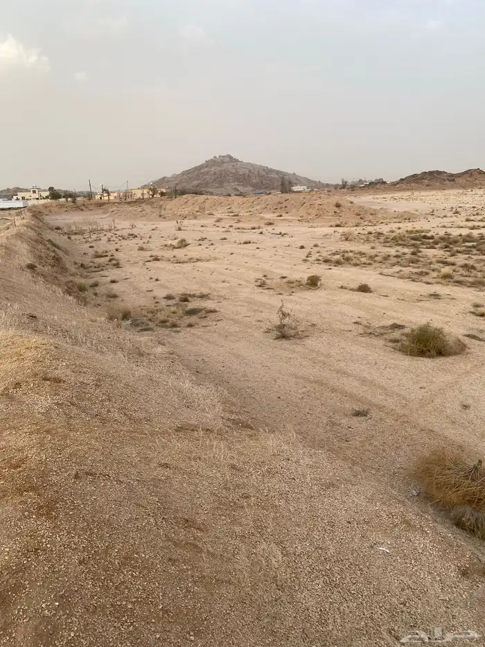 للبيع أرض زراعية مزرعة في الحصاد وادي بن هشبل 3