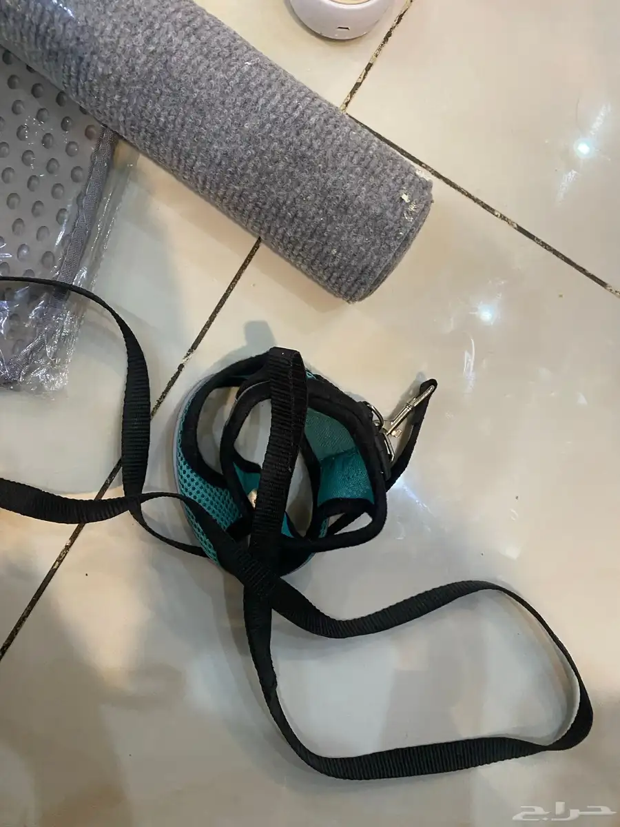 احتياجات البسس 3