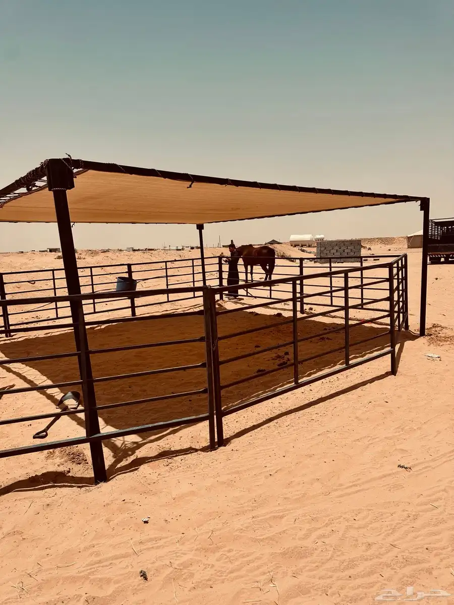 مضلات ابل 15