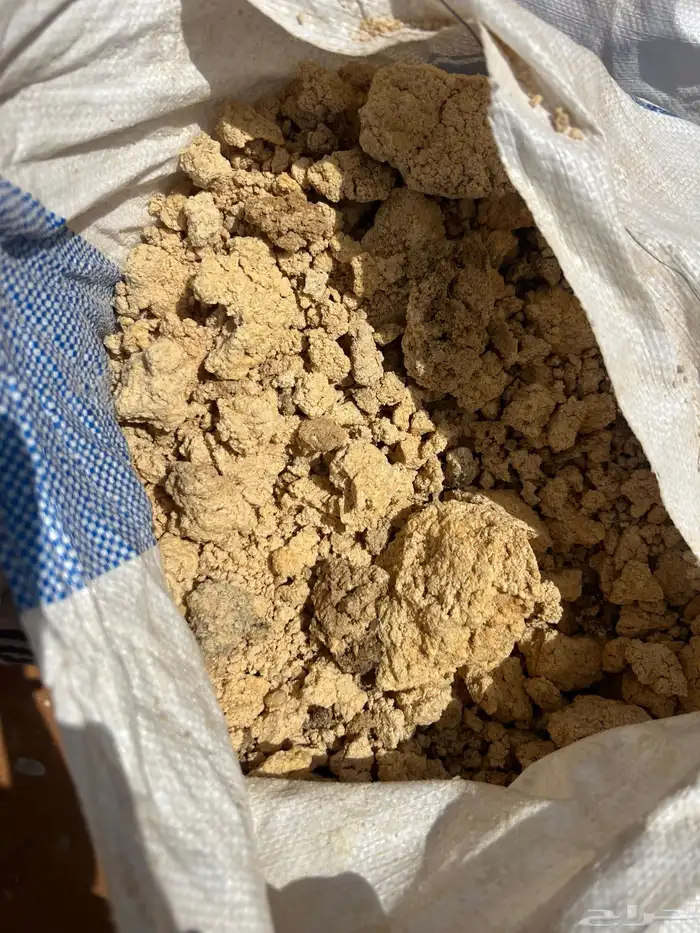 خبز علف ناشف ونظيف للبيع 7