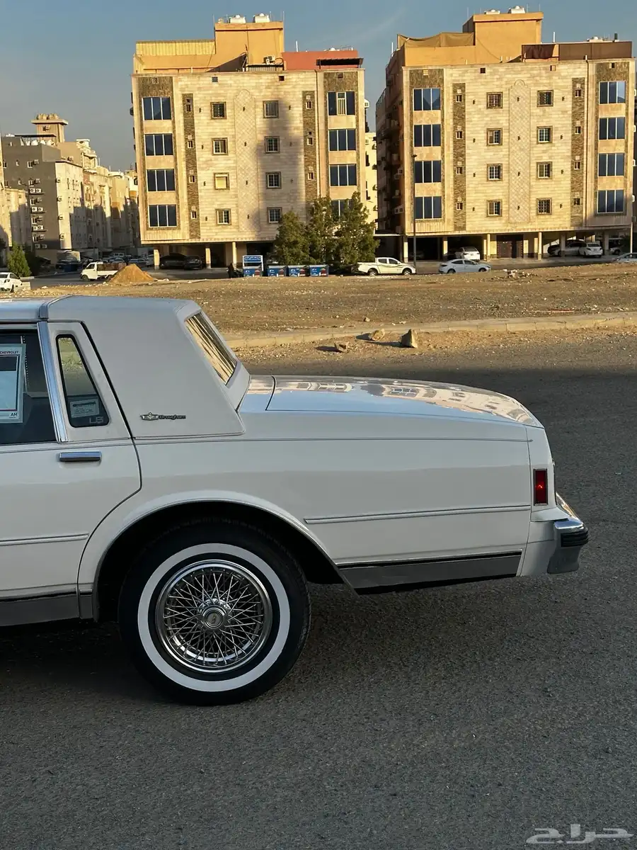 كابرس 1989 الجميح 7