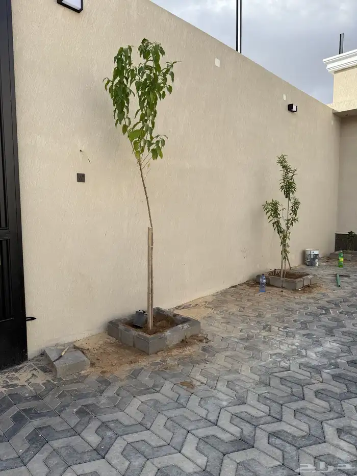 تنسيق حدايق مشاتل 29