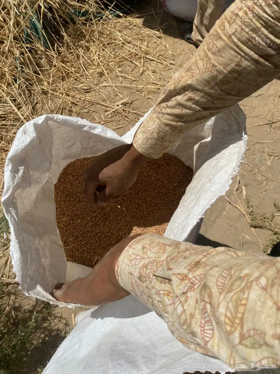 بر جعبه عضوي 4