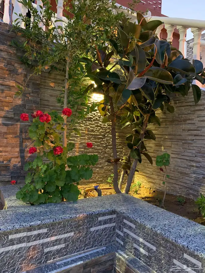 استراحه-شاليه-منتجع-ابها-السوده-نزل 3