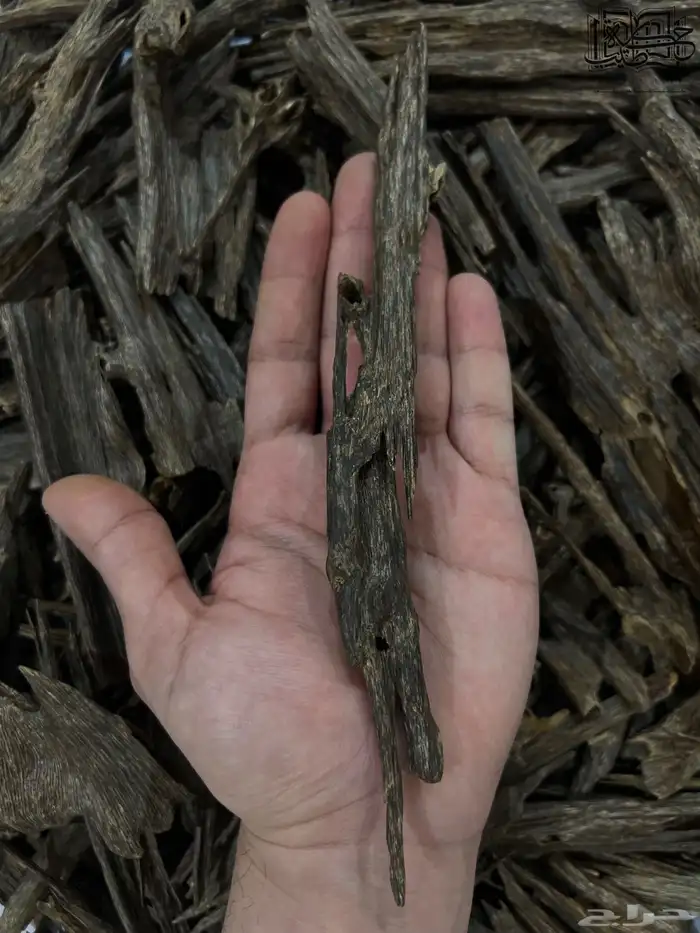 عود هندي زورا سوبر مرتفع فاخر طبيعي (جمله) 1