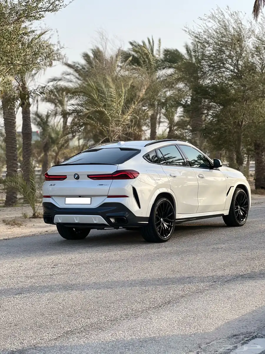 BMWX6 2