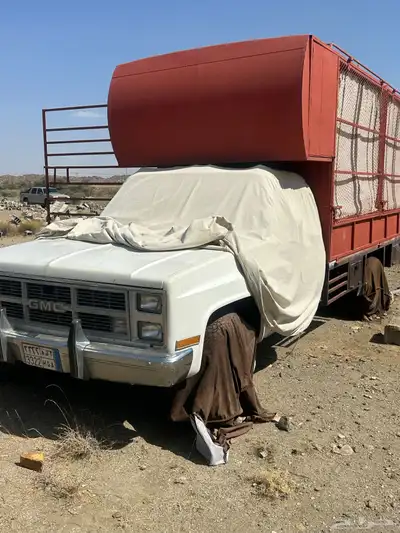 جمس ستيك بدي عدد الخلايا 84 خليه المنحول منها 75 خليه 1