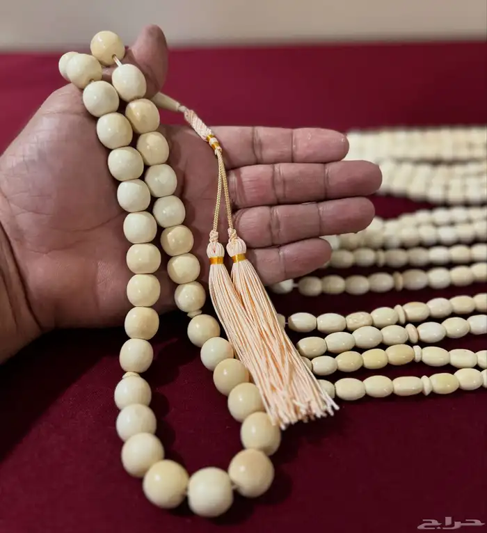 سبح عاج الفيل الافريقي 0