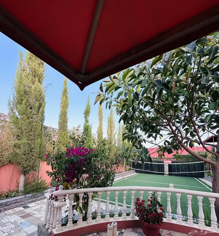 استراحه-شاليه-منتجع-ابها-السوده-نزل 0