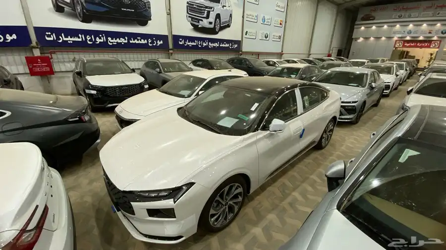 تورس فل 2025 10