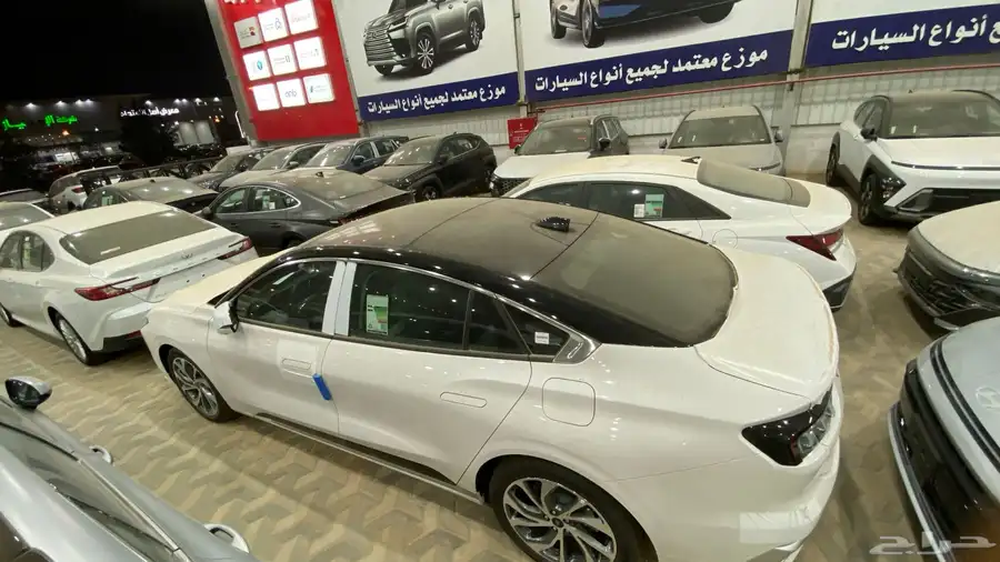 تورس فل 2025 5