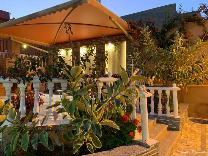 استراحه-شاليه-منتجع-ابها-السوده-نزل 4