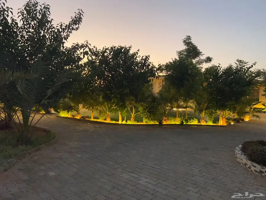 شاليه للإيجار اليومي بالخطه 12