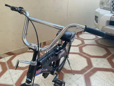 سيكل رامبو مقاس 20 2