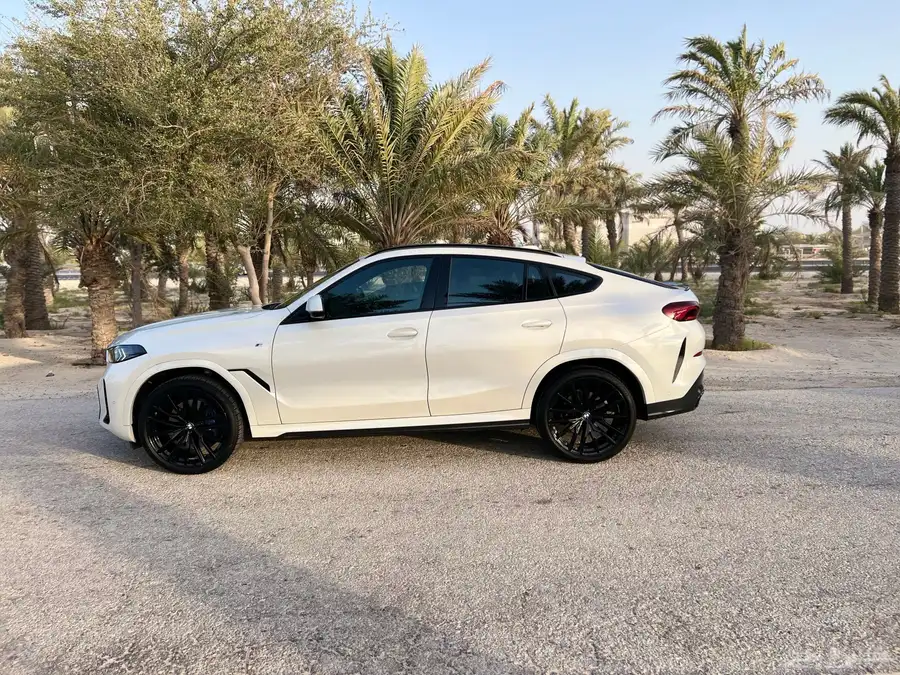BMWX6 13