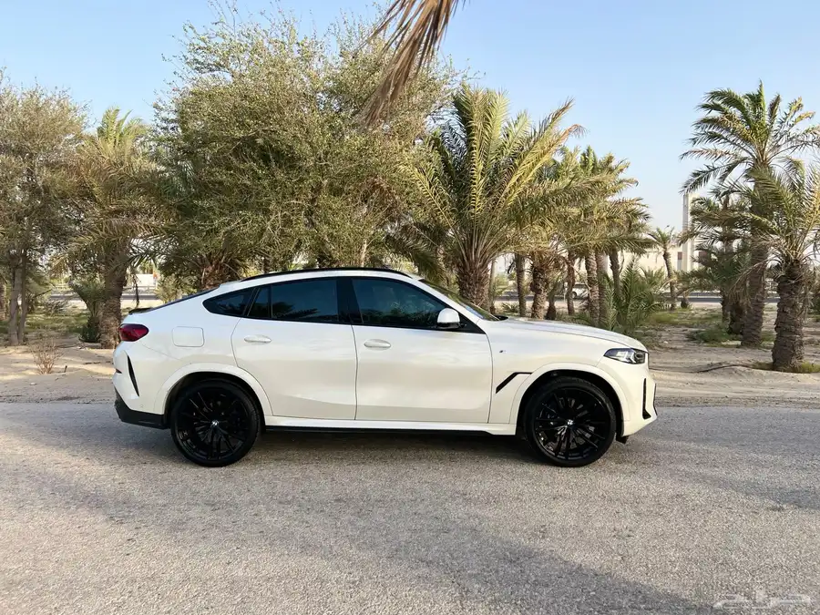 BMWX6 25