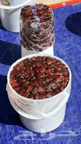 للذو اقة فقط   ك عيمر وبرني فاخر درجة أولى 0