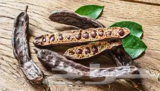 خروب طازج وفاخر للبيع في جده 2