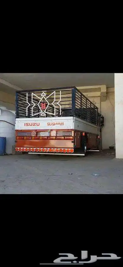 دينه نقل دينا الطايف نقل دنه 0