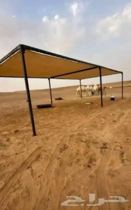 الرياض 3