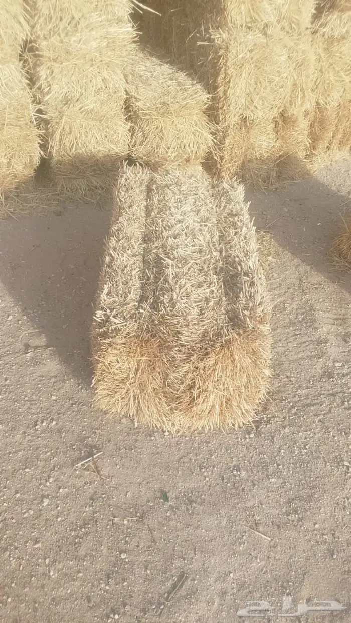 تبن بر 0