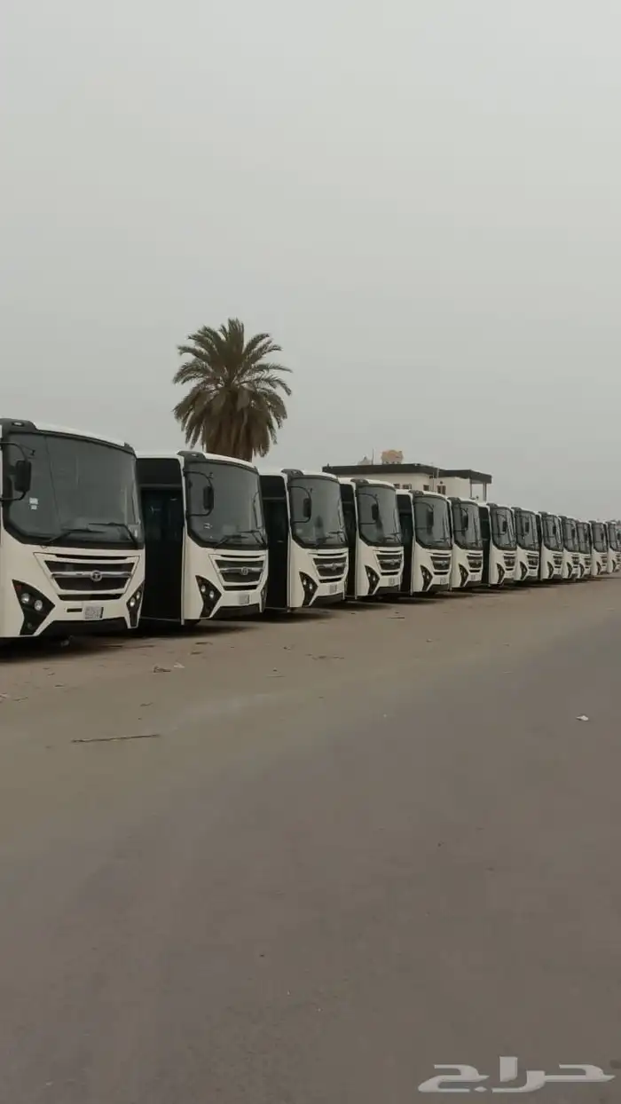 باصات للايجار او البيع 12