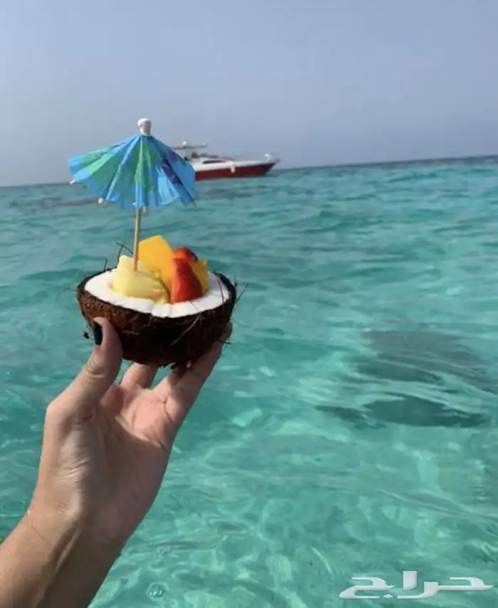 رحلات اللي جزيره بياضه جده 15