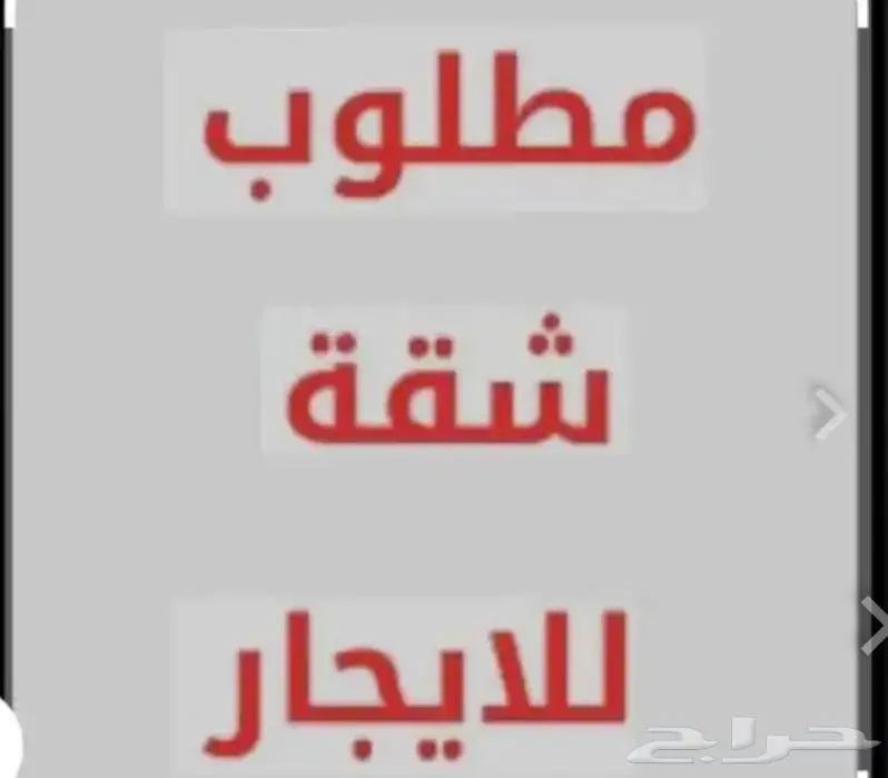 مطلوب شقة للإيجار 0