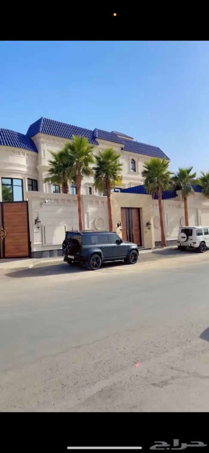 نخل واشنطونيا 1
