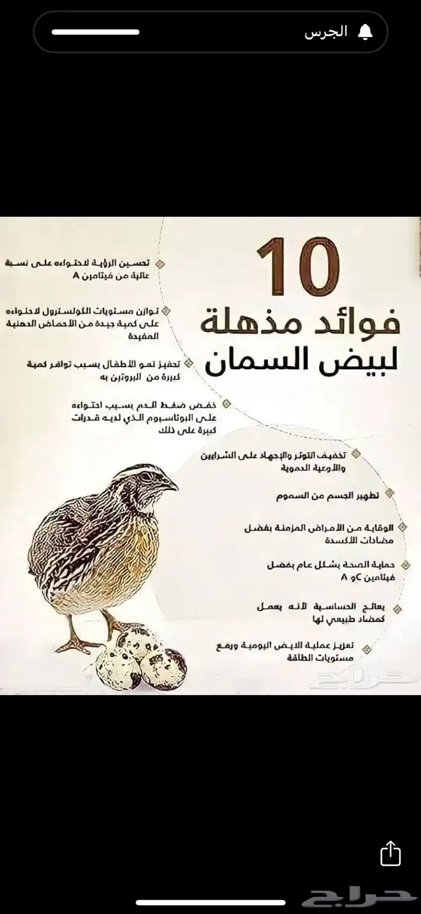 للبيع بيض سمان اوروبي 2