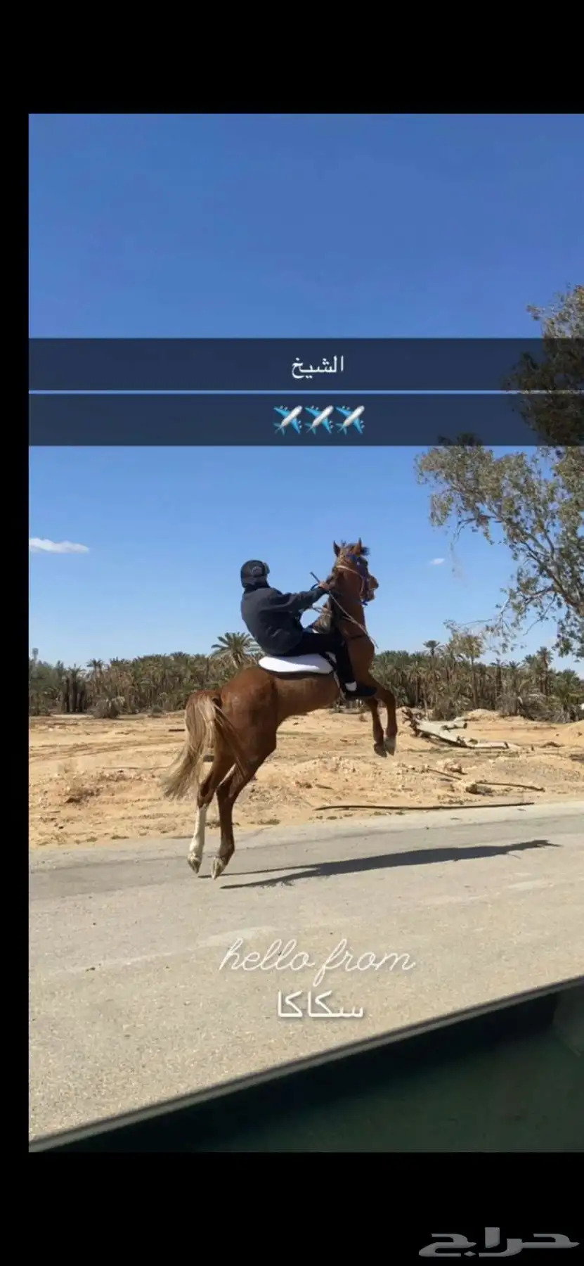 حصان شعبي 0