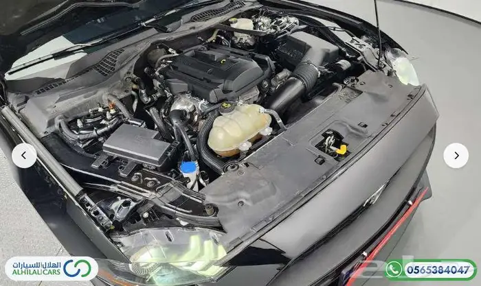كود   S 102 موستينج المكشوفة 2020 5
