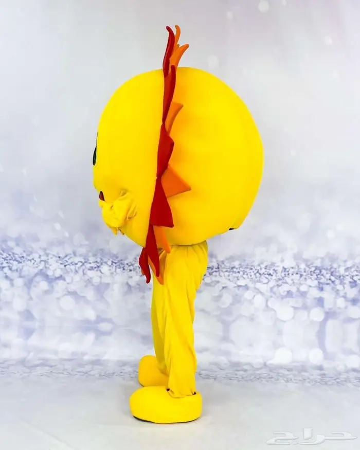 شخصية_مشرقة 4