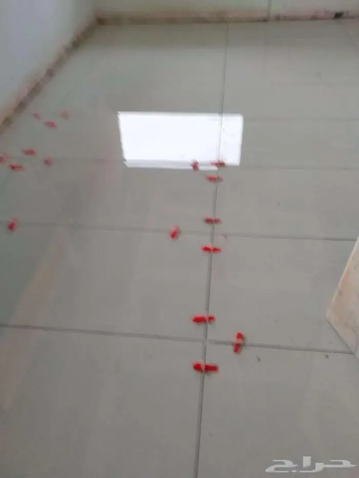 مبلط 1