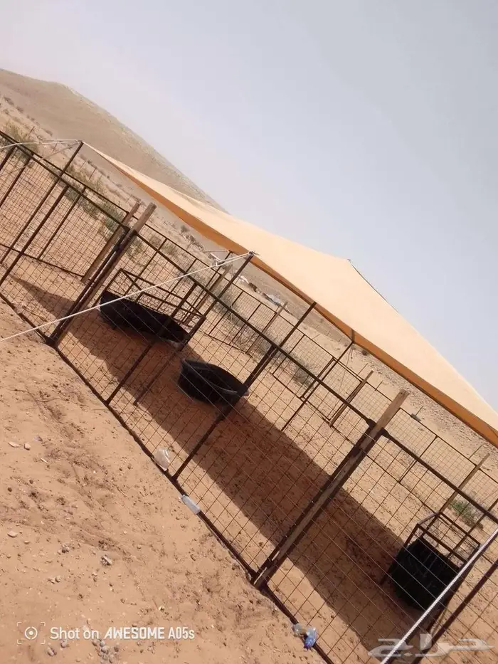 مظلات ابل مظلات غنم 7