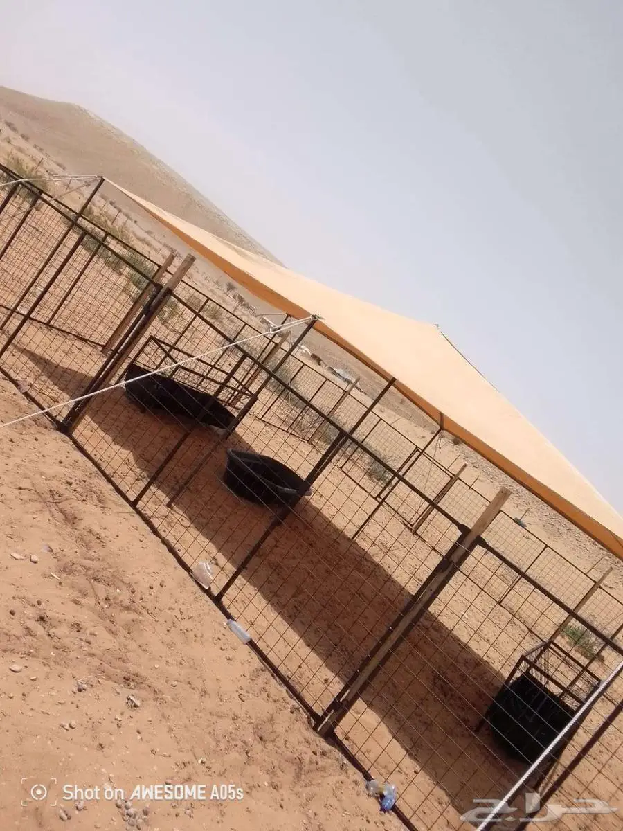 مظلات ابل مظلات غنم 7