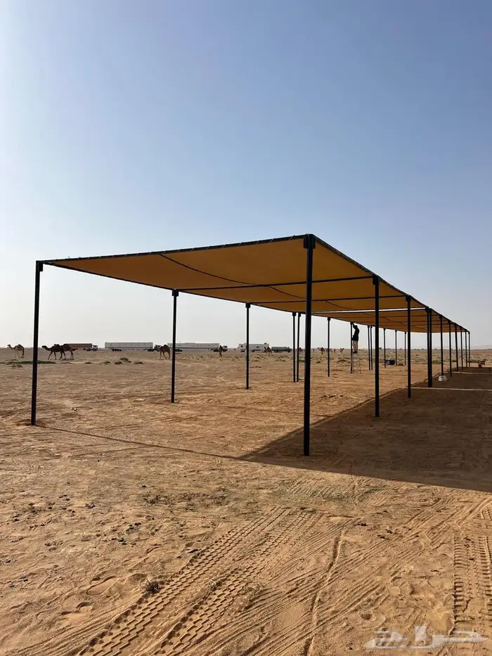 الرياض 2