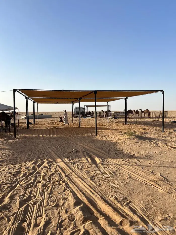 الرياض 1