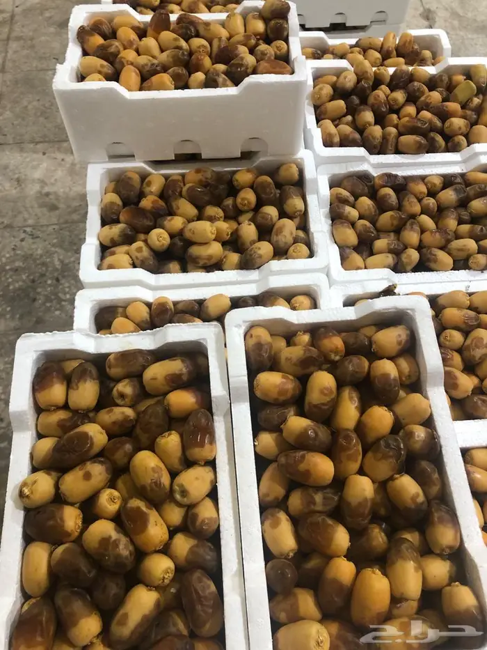 لونة 0
