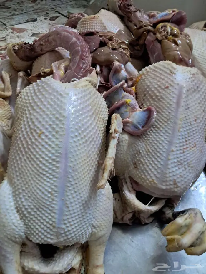 طبخ بيتي 7