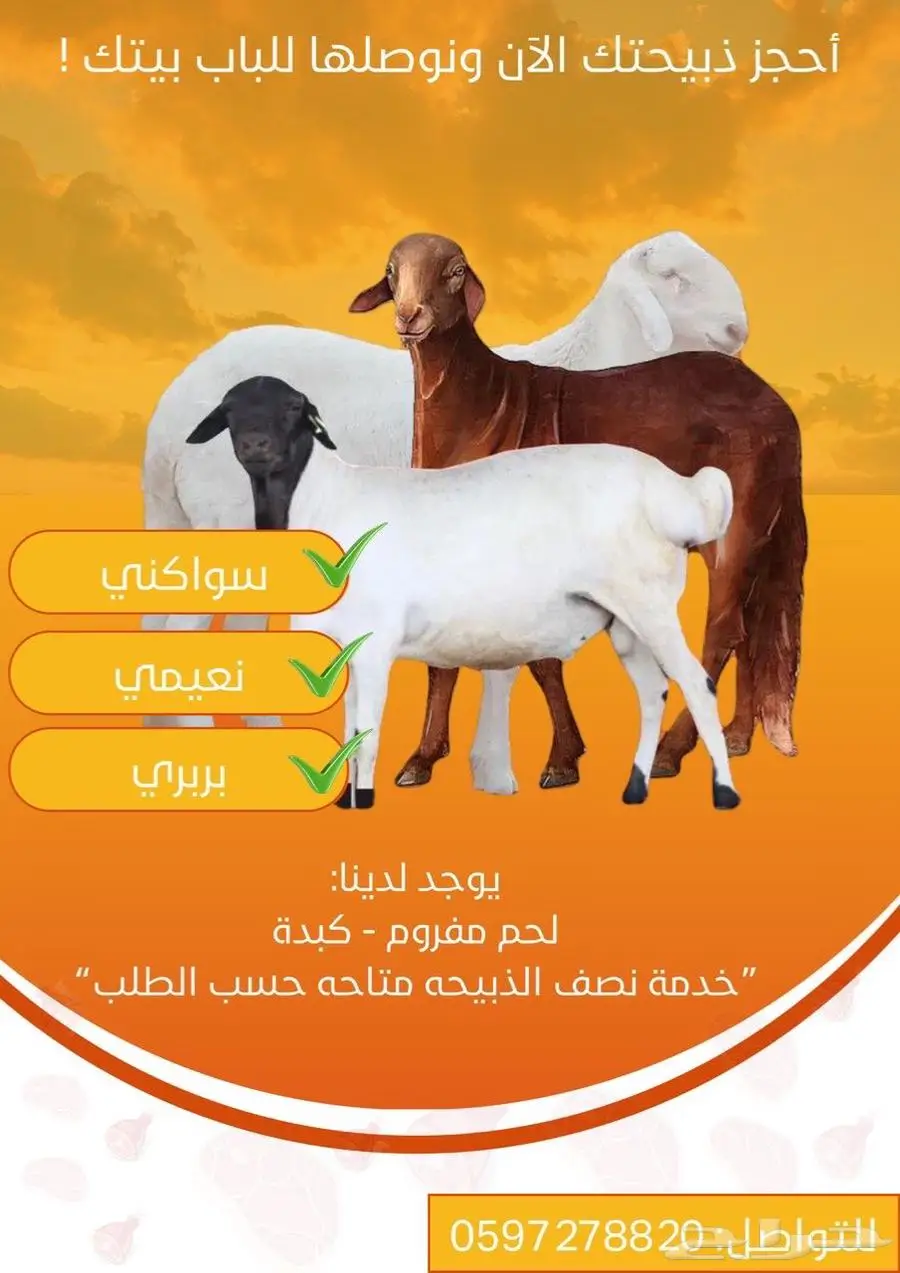 مواشي 0