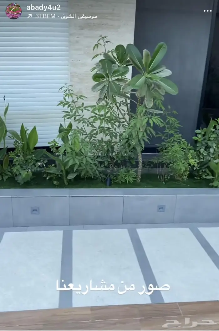 صيانة الحديقة وتجديدها 8