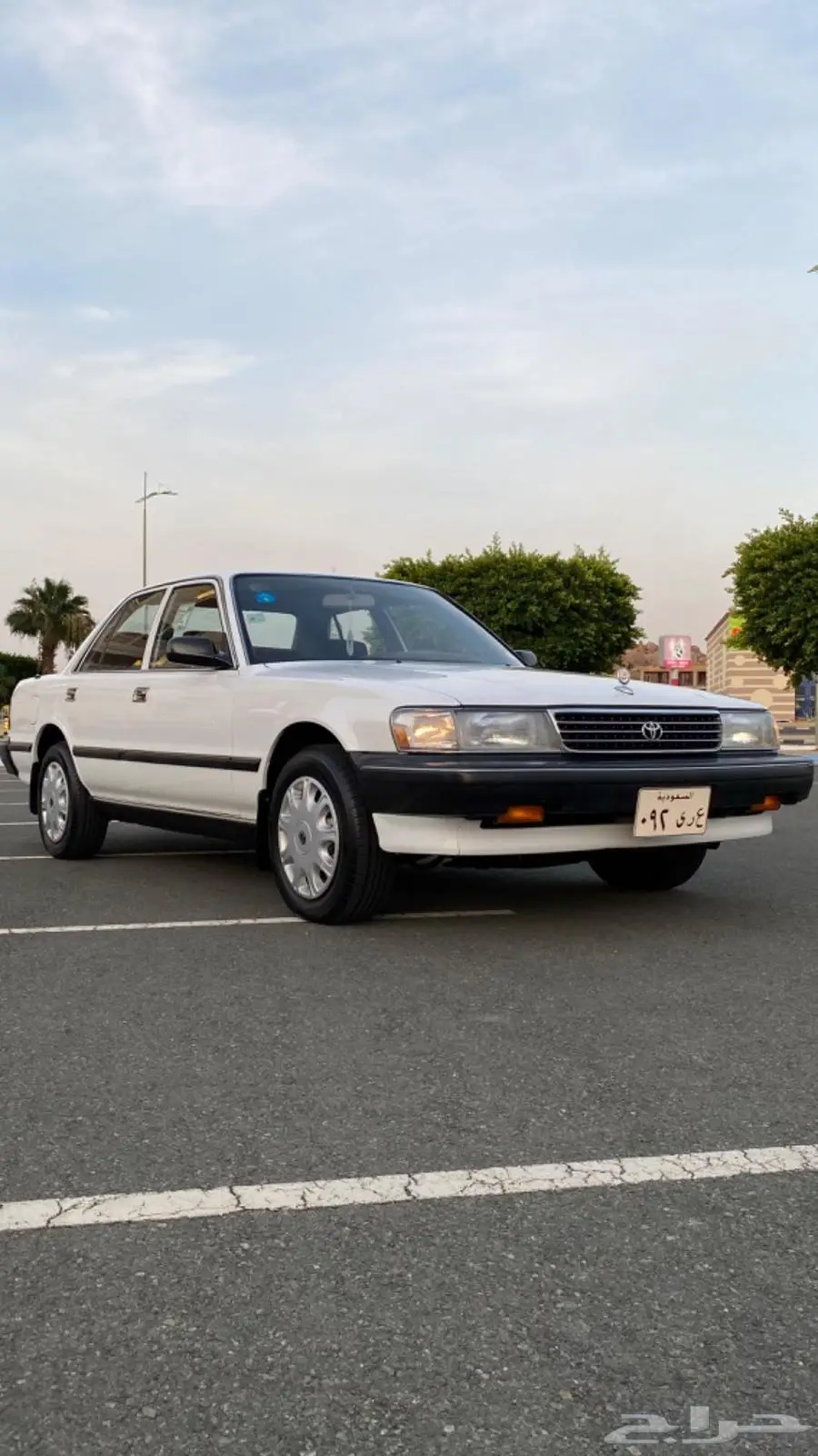 كرسيدا لااهل الصنف 1992 XL 0