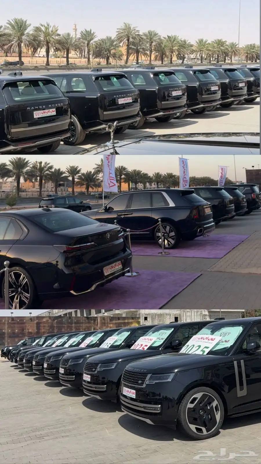 شركة سيارات فخمه 4