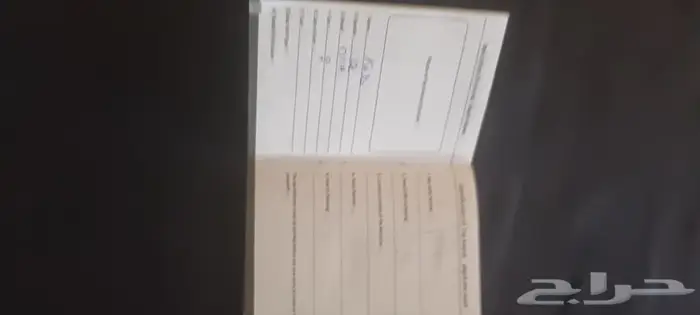 للتبني قطة للتبني قطة شيرازية 7