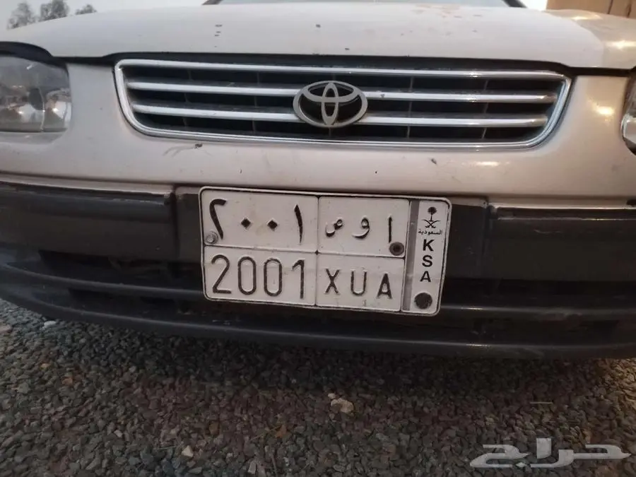 لوحات كم ي 2001 1