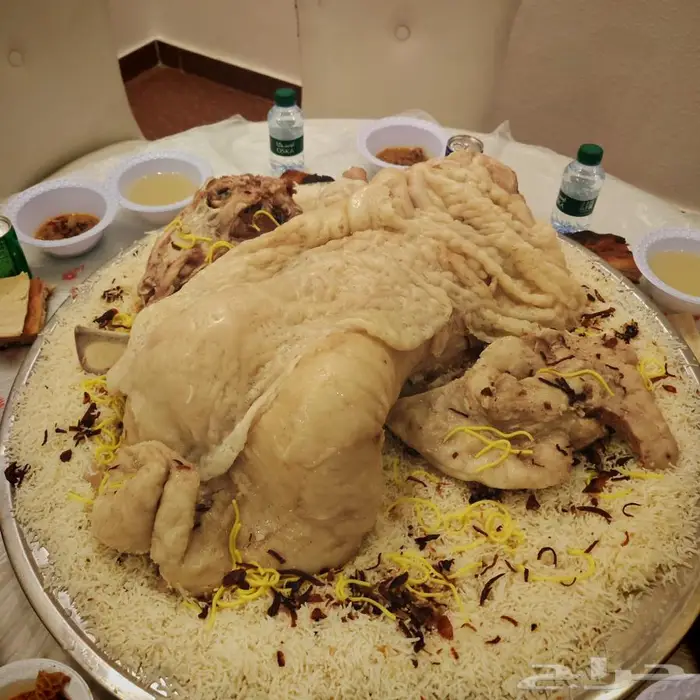 خروفين جبره للمناسبات للبيع (تم البيع ) 4